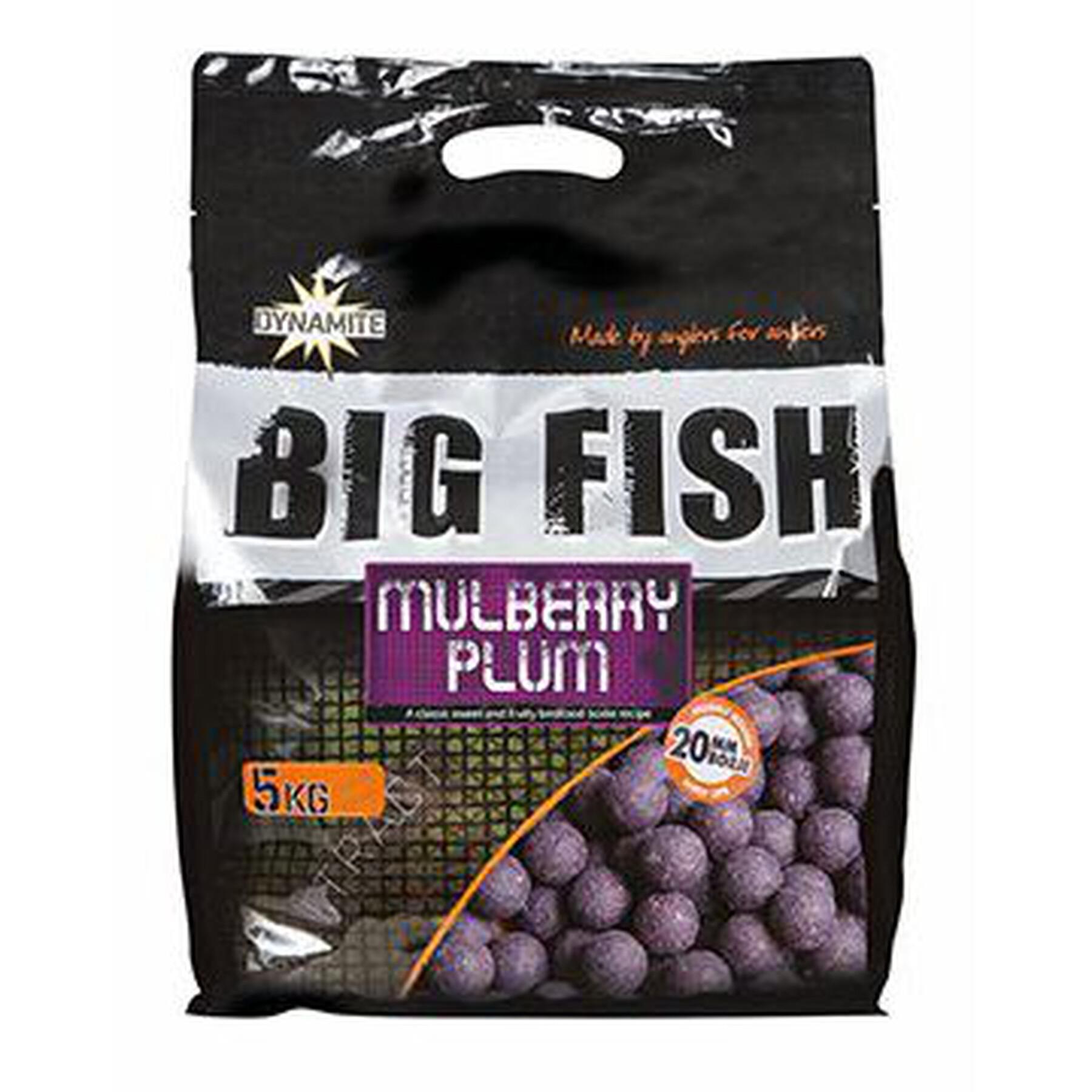 Gęste boilie Dynamite Baits Mulberry plum 5 kg