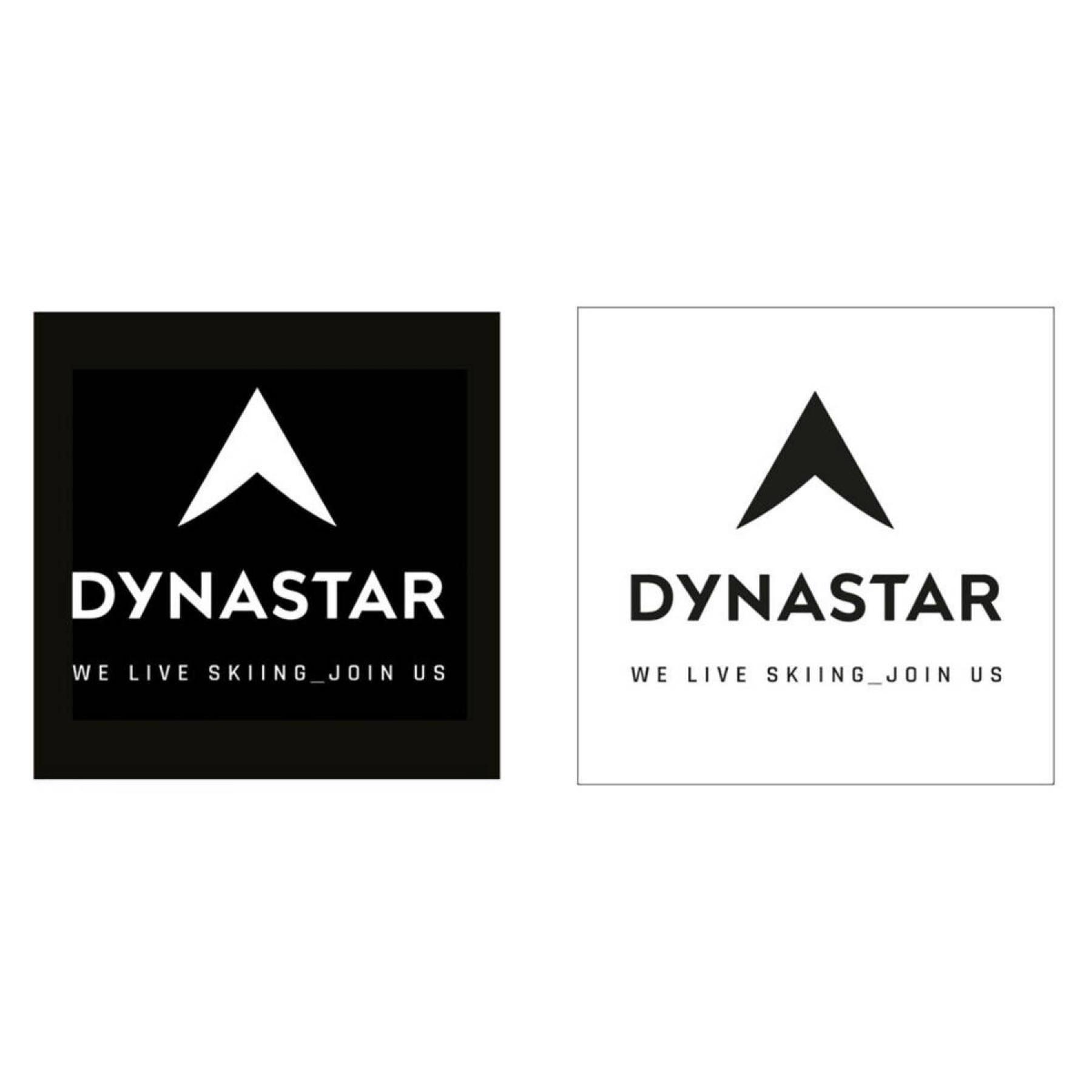 Naklejki Dynastar L10 corporate
