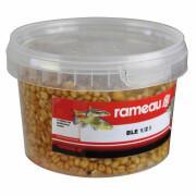 Gotowane nasiona pszenicy Rameau 0,5 L