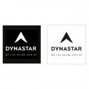 Naklejki Dynastar L10 corporate