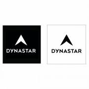 Naklejki Dynastar L100 corporate